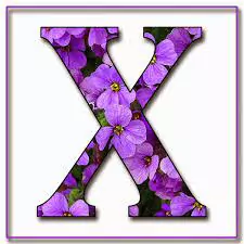 stylish x dp for whatsapp